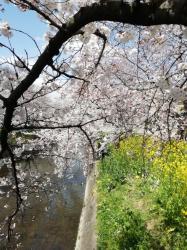 奇跡〜君と歩む道〜