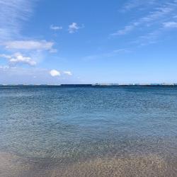 君と再会できた奇跡