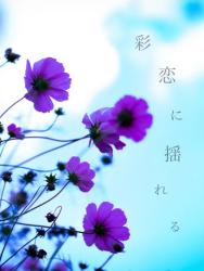 彩恋に揺れる
