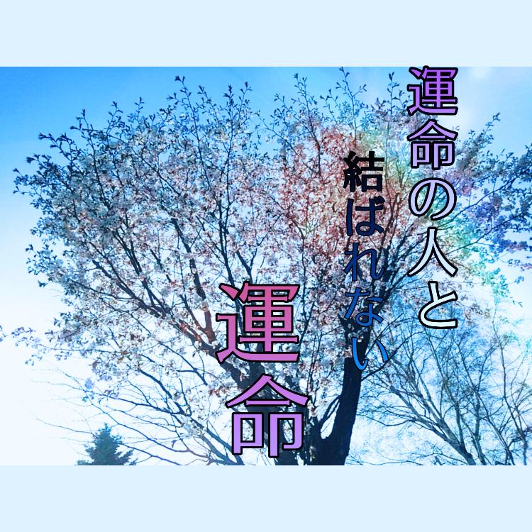 運命の人と結ばれない運命。