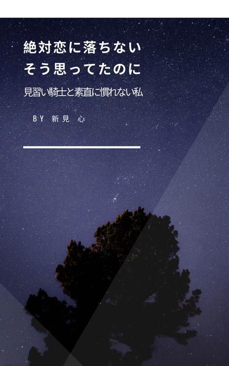 絶対恋に落ちない。そう思ってたのに…。見習い騎士と素直に慣れない私