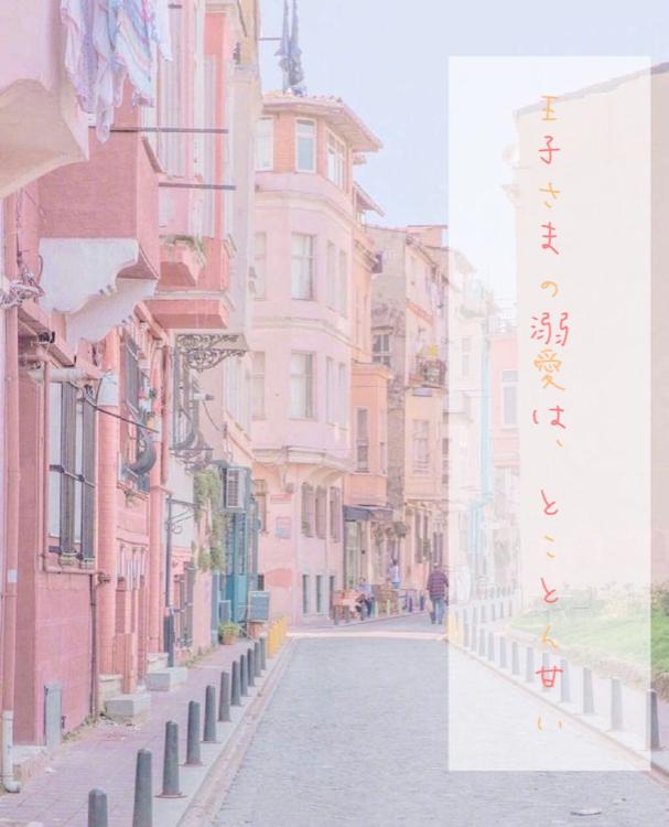 王子様の溺愛は、とことん甘い【番外編追加済み】