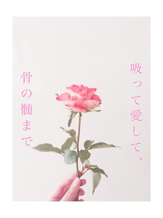 吸って愛して、骨の髄まで