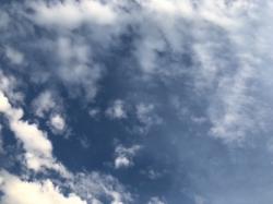 私と過ごした天使たちの日常