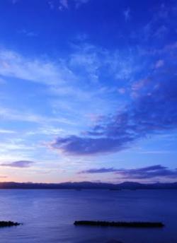 色盲症の彼女は幸せの色がわからない。