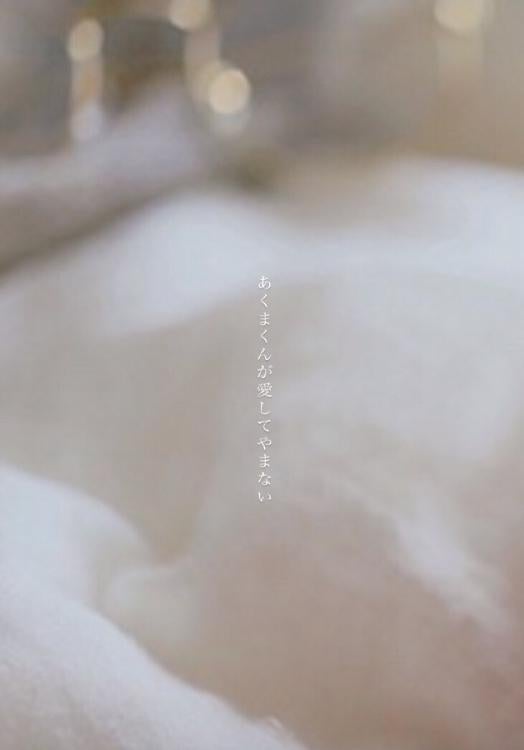 あくまくんが愛してやまない。