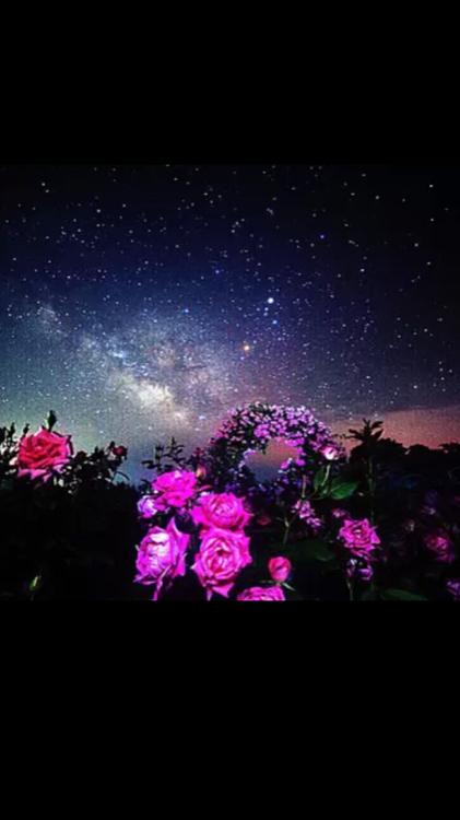 切なくて…逢いたくて…涙