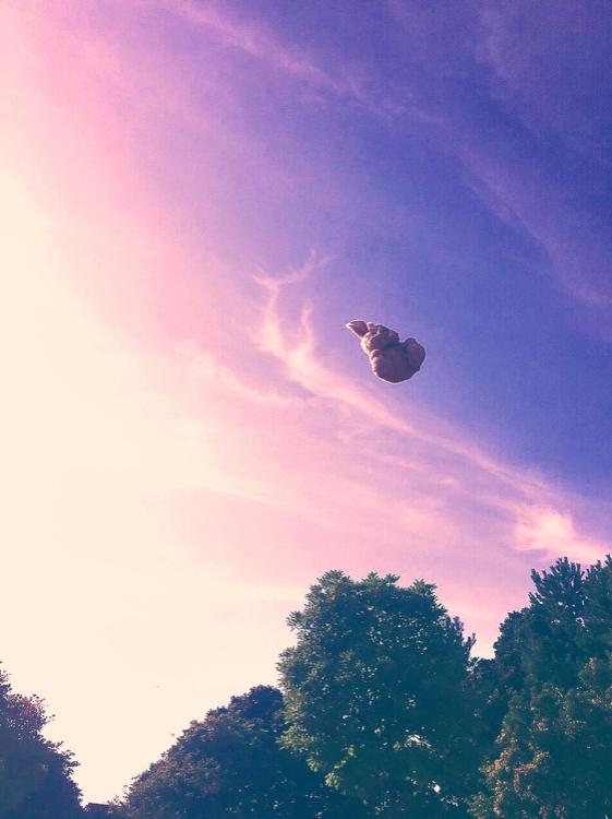 血が繋がらなくても愛がある