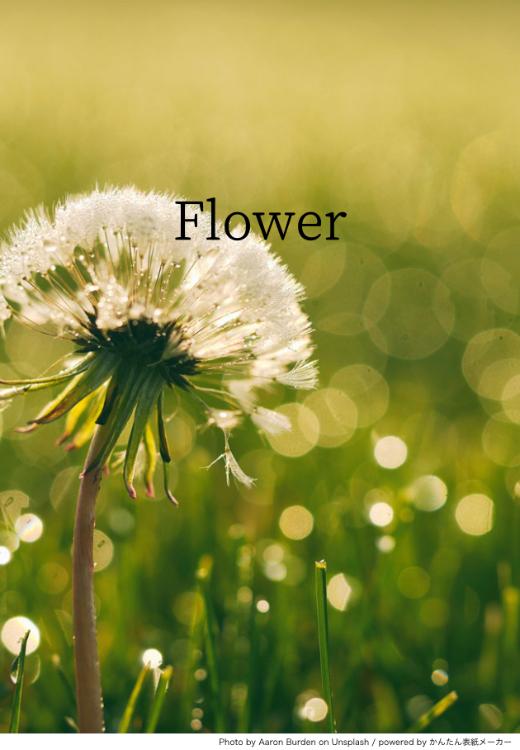 Flower~君の美しい記憶の中で今日も生きていたい~