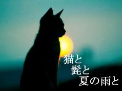 猫と髭と夏の雨と