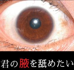 君の腋を舐めたい