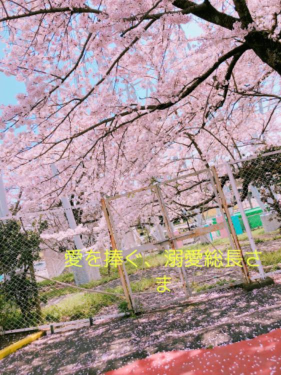 愛を捧ぐ、溺愛総長さま