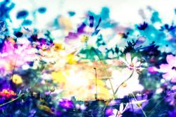 恋と私と魔法のヘアピン