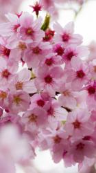 向かう先はおなじ