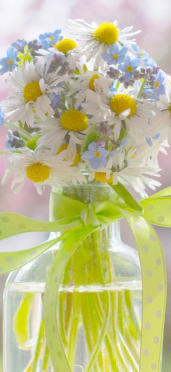 ただ西野くんが好き。