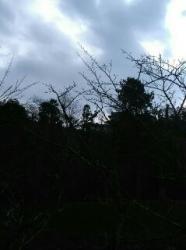 ずっとおまえが嫌いだった