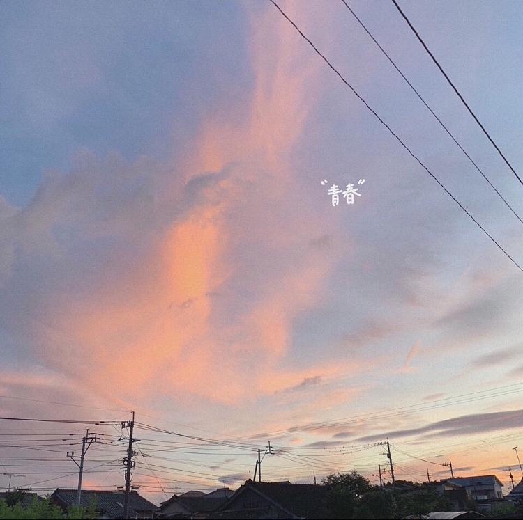 好きって言葉。