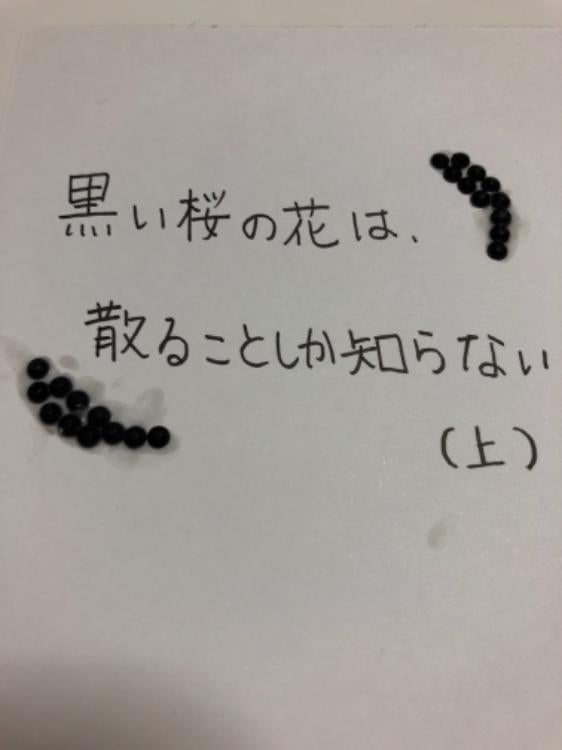 黒い桜の花は、散ることしか知らない(上)