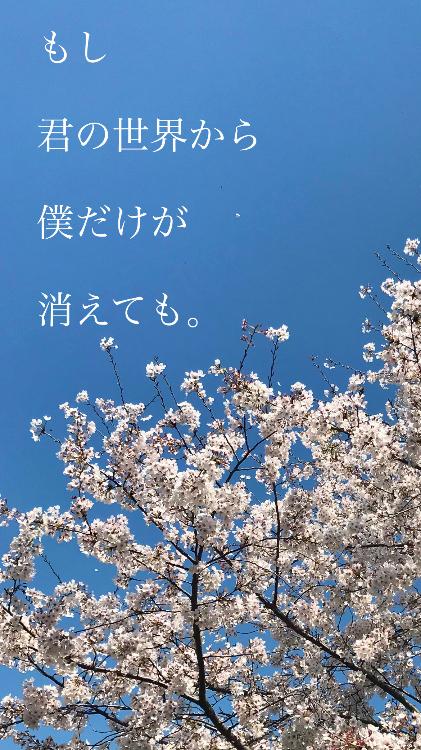 もし君の世界から僕だけが消えても。