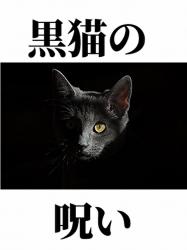 黒猫の呪い