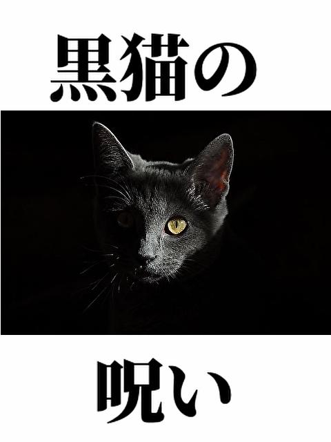 黒猫の呪い