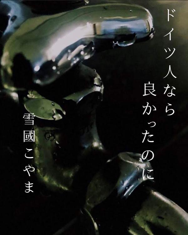 ドイツ人なら良かったのに