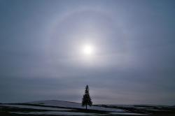 獣人騎士団 アヴシャルーア