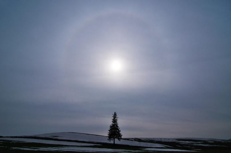 獣人騎士団 アヴシャルーア