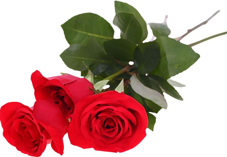 ・・・だって、大切なあなただから(続 ・・・だって、大切な2人だから)