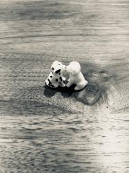 私の自己紹介！