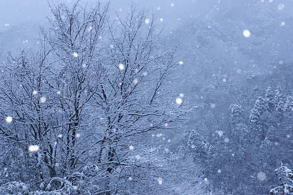 あの日見た雪を例えるなら