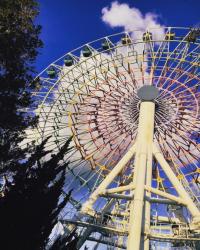 ネットで知り合った彼