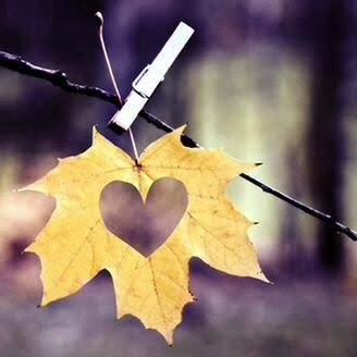 あの男の、となりで