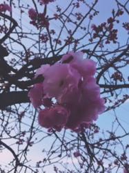 詩集　空色神話