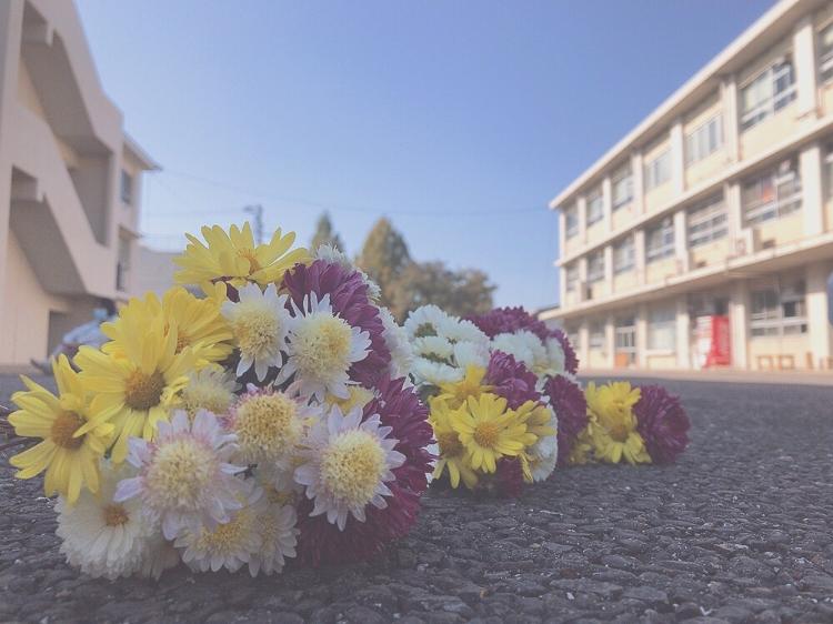 現実王子様は地味子ちゃんを離さない