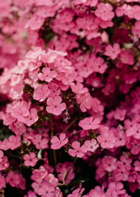 同居人の一輝くんは、ちょっぴり不器用でちょっぴり危険⁉