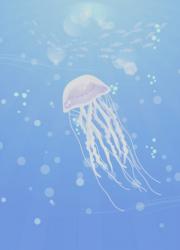 海月達の7回目の春