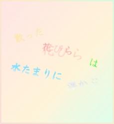 散った花びらは水たまりに浮かぶ