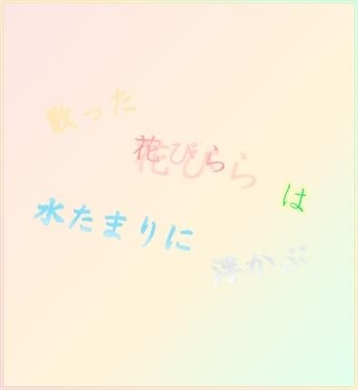 散った花びらは水たまりに浮かぶ