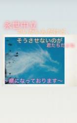 永世中立でいたいんだけど、そうさせないのが君たちだよね 〜龍になっております〜