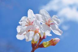 世界一運の悪い人が起こした奇跡【前編】