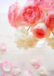 恋とキレイは同時進行？