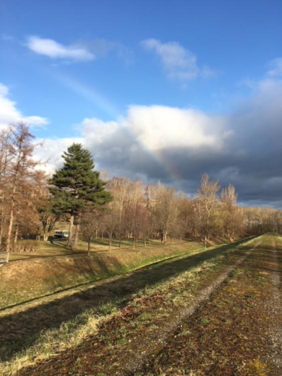 とりあえず、アイスでも食べない?