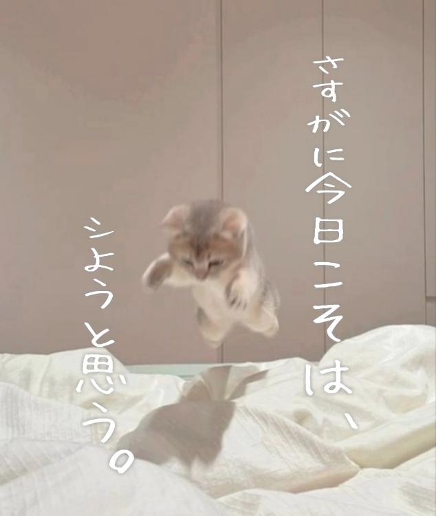 【短】さすがに今日こそは、シようと思う。