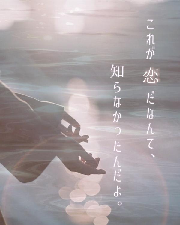 これが恋だなんて、知らなかったんだよ。