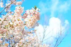 大切な1本をくれたキミ