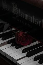 rosa nera【ローザ　ネーラ】