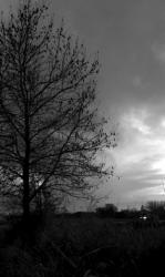 学校カクレンボ