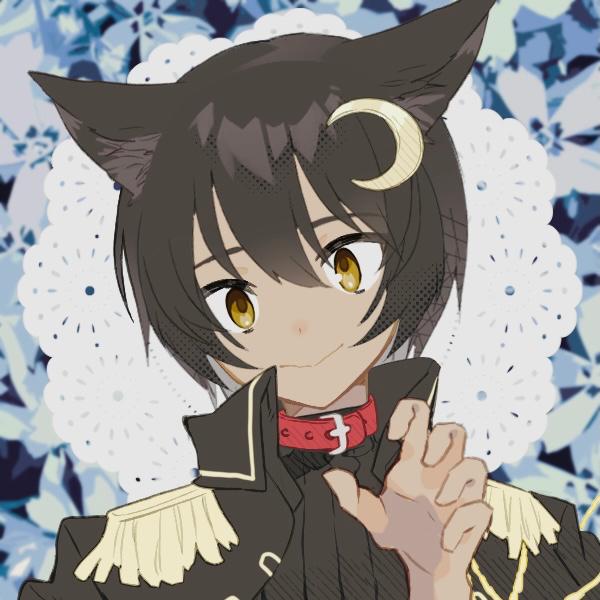 晴れときどき猫耳のきみ