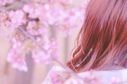 あの丘でもう一度。